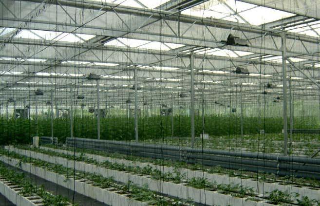 Commercial Greenhouse We manufacturer of quality commercial