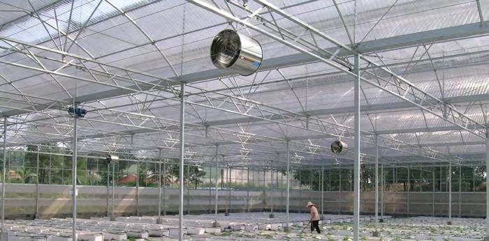 Roof Roof Greenhouse -