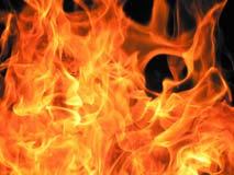 flammable Transmits 79%+ PAR, loses ~ 1% per yr in thin panels Hail