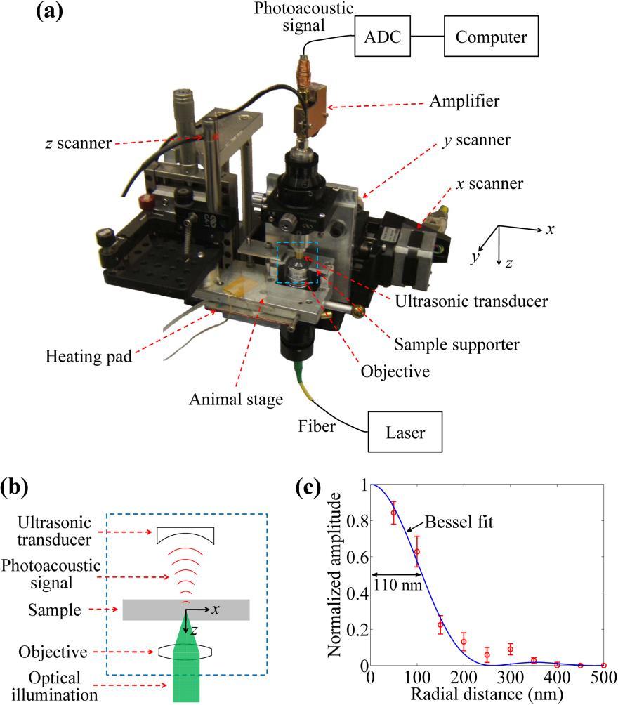 Figure 2.1 Subwavelength-resolution photoacoustic microscopy (SW-PAM). (a) Schematic diagram. (b) Closeup diagram showing the confocal structure of the optical objective and the ultrasonic transducer.