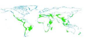 CSI <20, PSI=1-10, CSI<20) BIODIVERSITY HOTSPOTS Input: Biodiversity Hotspots (vector) Output: Biodiversity Hotspots, 5 arc-minutes, global, raster Criteria: inland