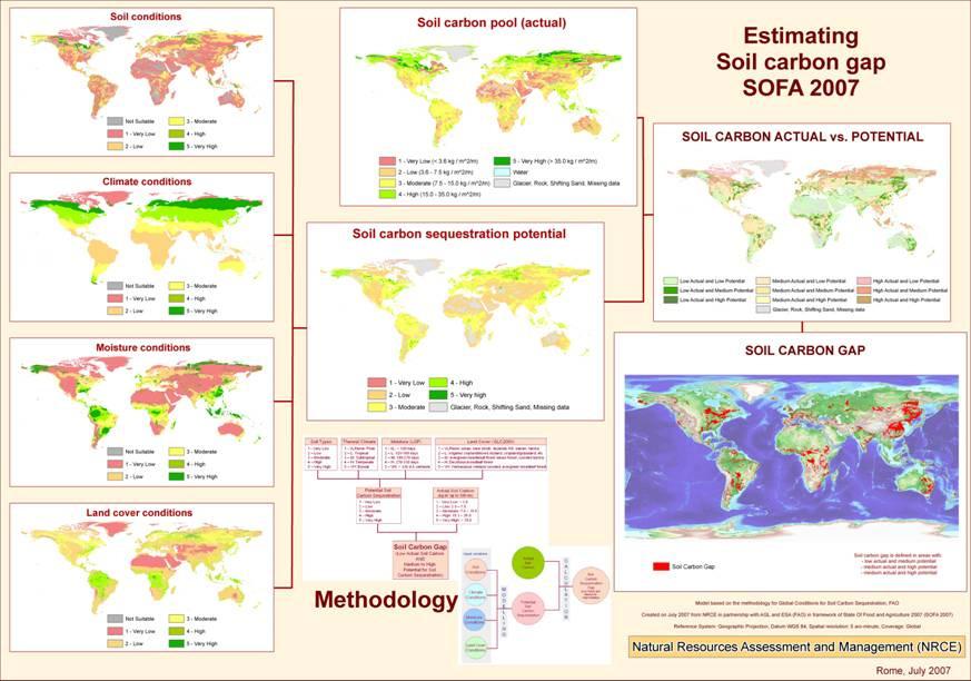 SOFA 2007: Carbon Gaps 13 Food and