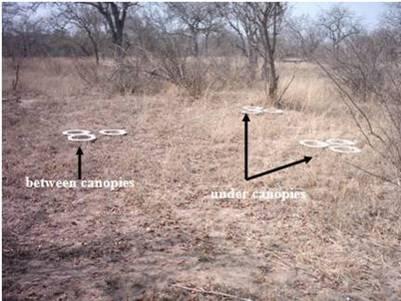 Some examples are: - study of the heterogeneity of soil properties and fluxes