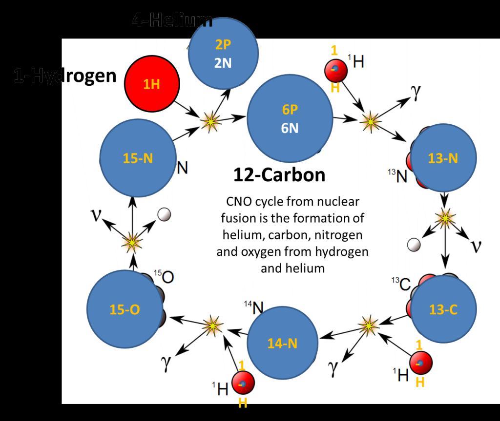 There are 3 carbon isotopes occurring in nature, 12-C and 13-C are stable isotopes, while 14-C is a radioactive isotope with an average life of 5730 years before decaying.