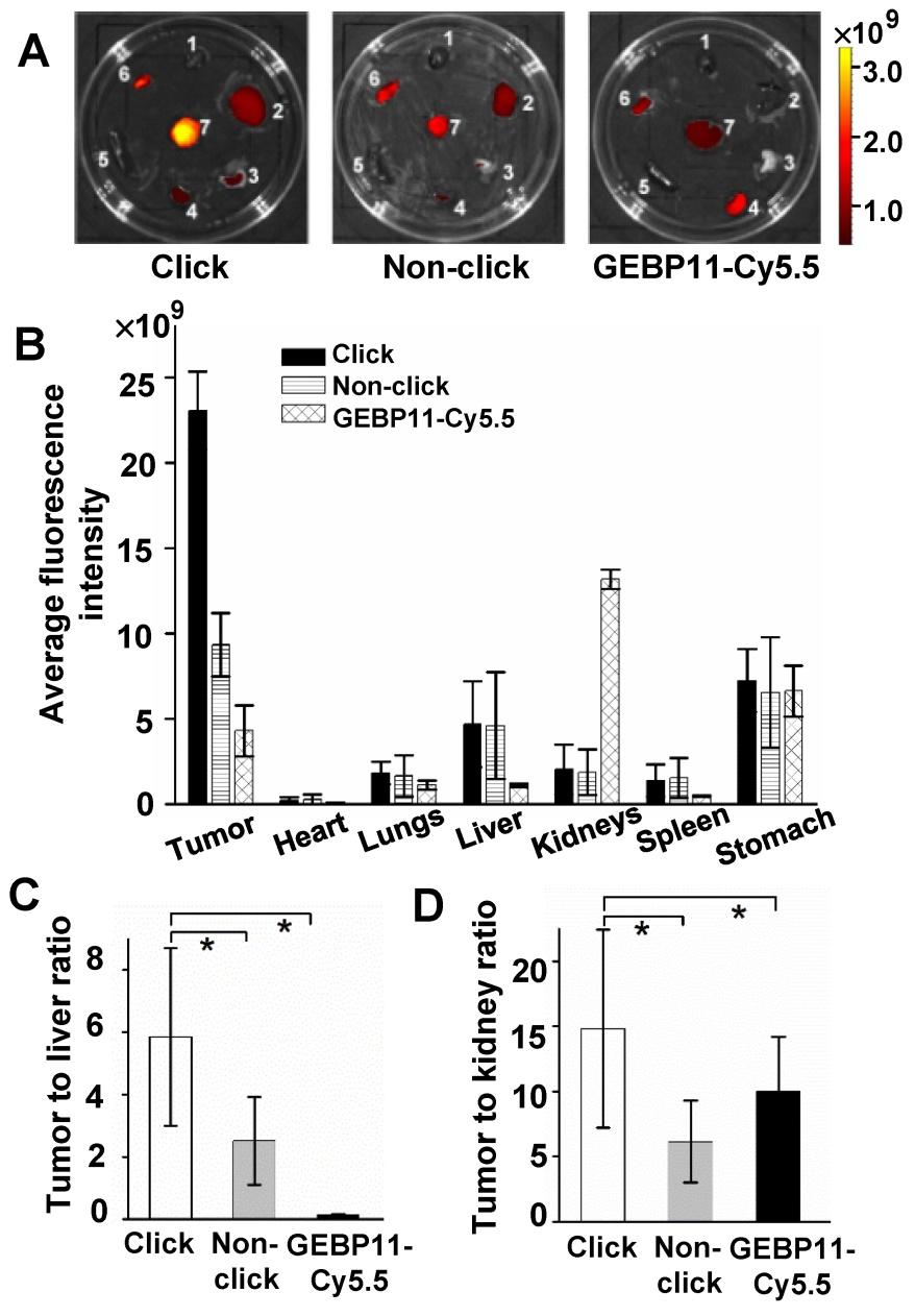 3800 To further validate the assessment that click-meditated probes were more specific than the directly labeled probes, RGD peptide was chosen as a targeting factor model to test, and
