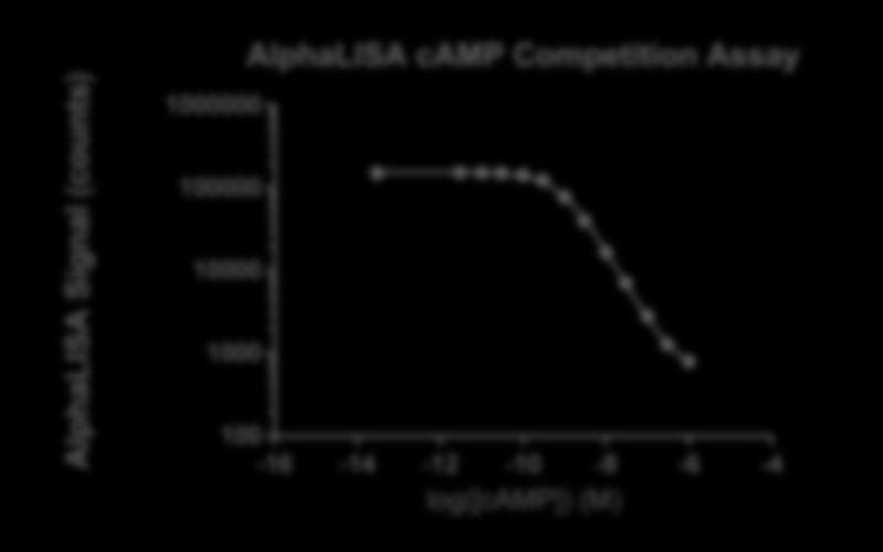 9 nm Min/Max counts: 1391/ 147 000 counts Dynamic range: 2.4-10 000 nm (Figure 1) Figure. 1. Typical sensitivity curves in AlphaLISA Buffer.
