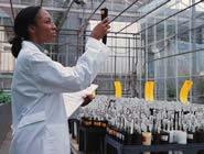 EPA Extramural Research on Nanotechnology or Nanomaterials www.sciencejobs.
