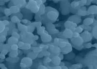 Sources of Nanomaterials Anthropogenic Engineered Carbon-based Nanotubes,