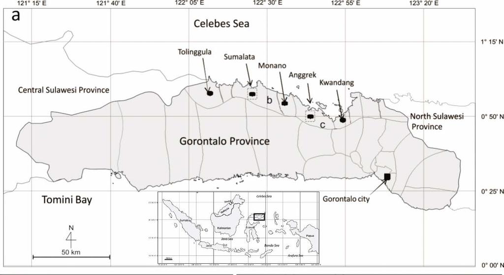 Fig. 1. (a) Gorontalo Province map showing sampling locations ( ) of human hair from Gorontalo Utara Regency, showing Tolinggula Sumalata, Anggrek, Monano and Kwandang districts.