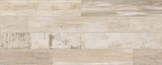 Tile color reproductions in this catalogue are representative only. Slight tone and shade variations are inherent in porcelain tiles.