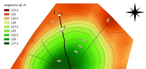 LU 72. zinātniskā konference. ĢEOLOGIJA 1. attēls. Glaciokarsta kritenes reljefa modelis un radiolokācijas profilu telpiskais novietojums.
