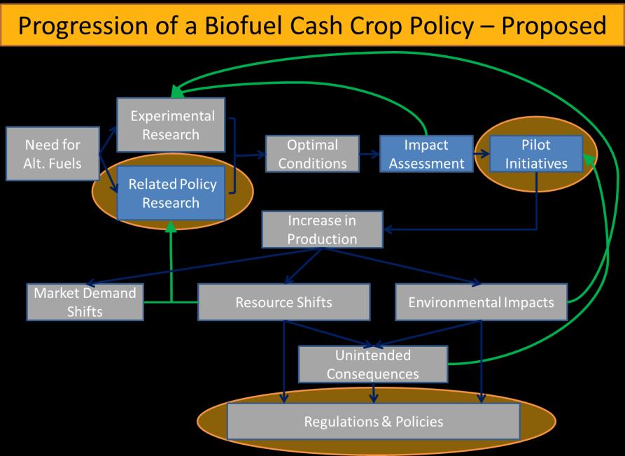 Figure 12 Progression of a Biofuel Cash Crop Policy Proposed. The updated flow of creating biofuel policies incorporates life cycle thinking and related environmental policies throughout the process.