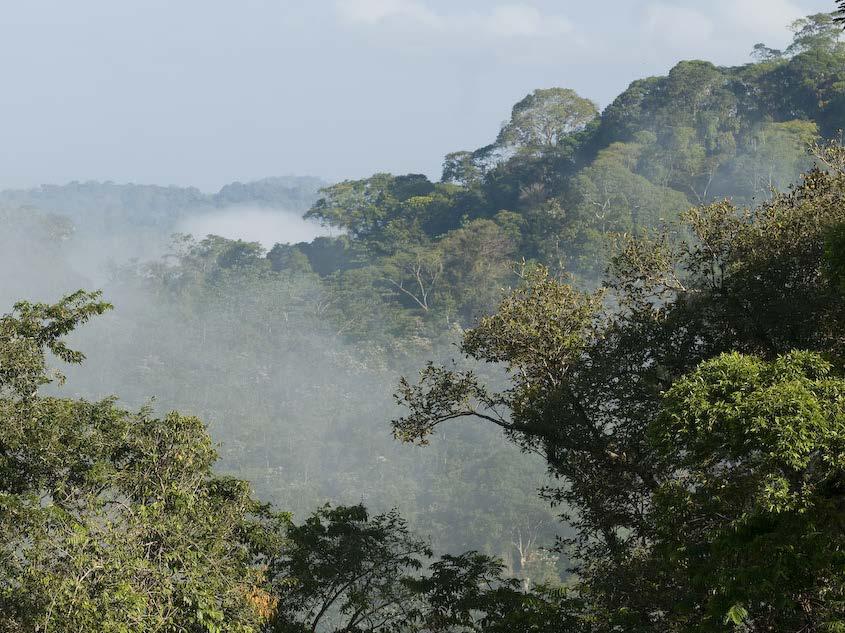 Costa Rica: National Biological