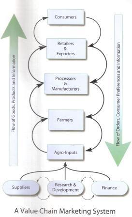 Agriculture/Market Value Chains Agriculture value chains empowers farmers to shift from subsistence farming to an entrepreneurial business, it gives them the tools they need to take ownership of the