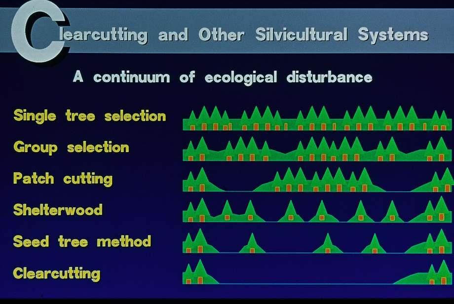 Silviculture Systems A