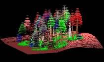 FORECAST Non-spatial ecosystem management stand model Visualization software