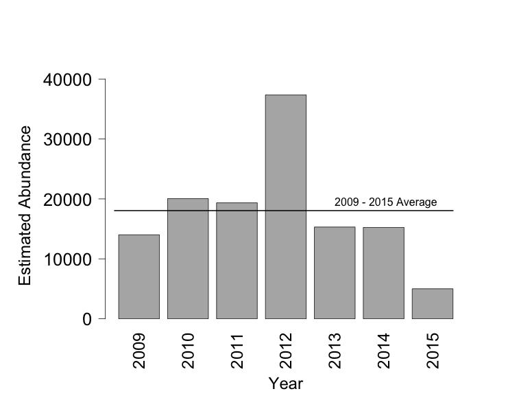 Figure 2. Annual O. mykiss abundance in the Stanislaus River during 2009-2015. Age Composition Both age classes of O.