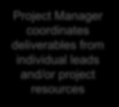 Project Leadership Executive Sponsor Project Owner Director-level accountable owner of the solution Process Initiator Manages request analysis Project Manager Manages overall project team