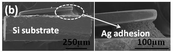 Figure 14 shows the images of quartz blank mount process and the adhesion between crystal quartz and Ag conductive layer on Si substrate during thermal flow. Figure 15.