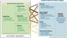 Sustainability (BESS) Ecosystem Services for