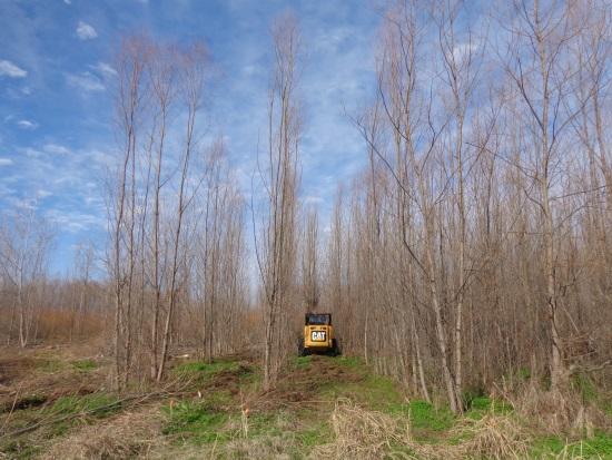 Objectives The objective of the study is to determine the potential effects of the felling equipment and the harvest s season of year