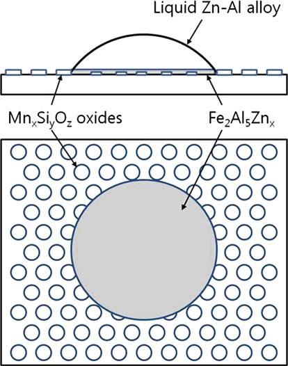 Fig. 6 The cosine of the quasi-equilibrium contact angle as function of f o layer between metallic Fe and soluble Al in the liquid Zn alloy.