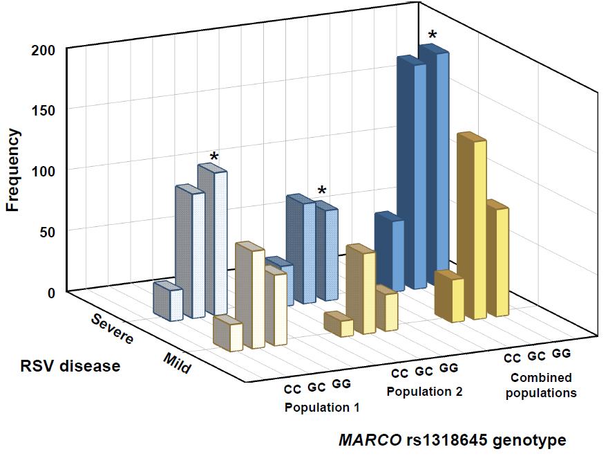 disease, 237 Genotype frequency TT, 24.2 TC, 45.9 CC, 29.8 P < 0.