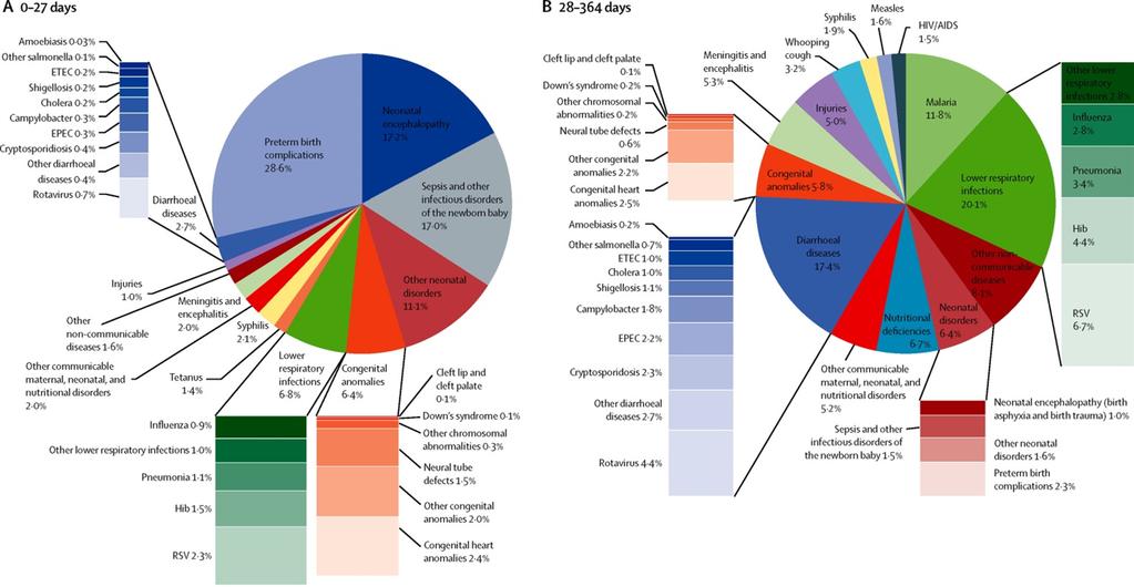 Global Burden of Disease and the