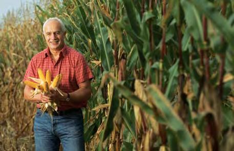 Harald Nitschke, German corn farmer. Nitschke is one of several thousand farmers throughout Europe who use Monsanto s YieldGard Corn Borer technology to protect and to increase yield on their land.