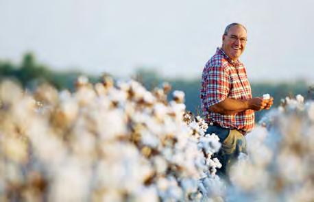 Rusty Stubbs, U.S. cotton farmer. Stubbs is excited about Monsanto s recent acquisition of D&PL and the ability of the companies to deliver new innovation to cotton.