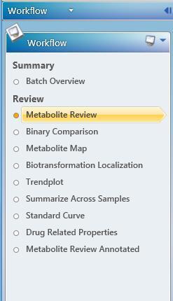 The Review Workflow What we mean by Workflow Combines Filters Injections and Components Limits Custom Fields Screen Layout Displayed