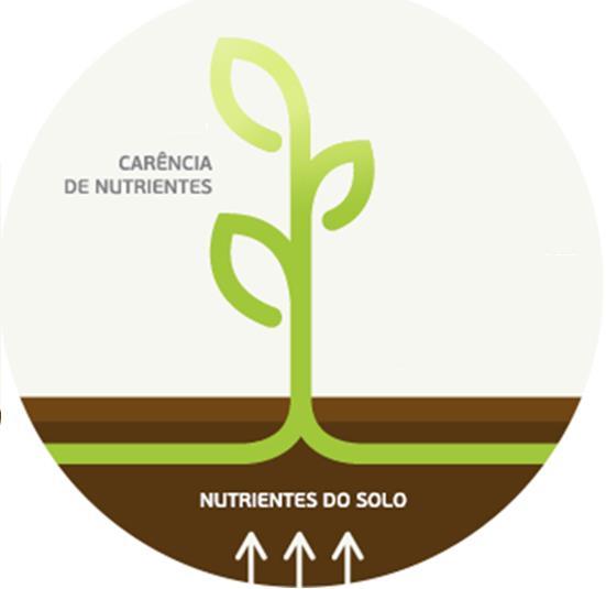 Kaks lähenemist taime toitumisele Toitainete vajaduse katmine mineraalväetistega Taimede toitumine mineraalväetistest ja mullas