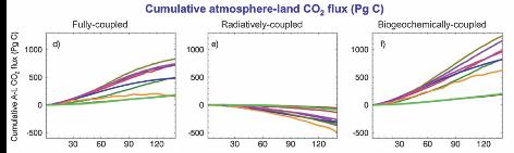 ! In future projections, nitrogen dynamics reduce the CO2 fertilisation effect and increase the terrestrial carbon loss due to warming.