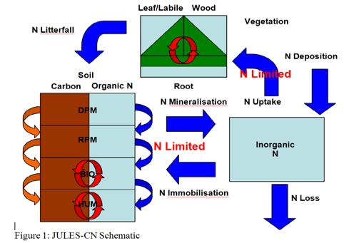 JULES CN! Represents soil and vegetation nitrogen processes!