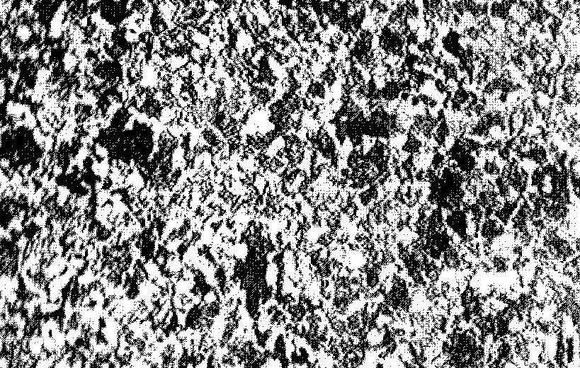Micrograph 3: Microstructure of Annealed Plain Carbon Steel.