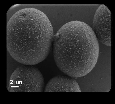 Irregular particles with diameter of 10 µm.