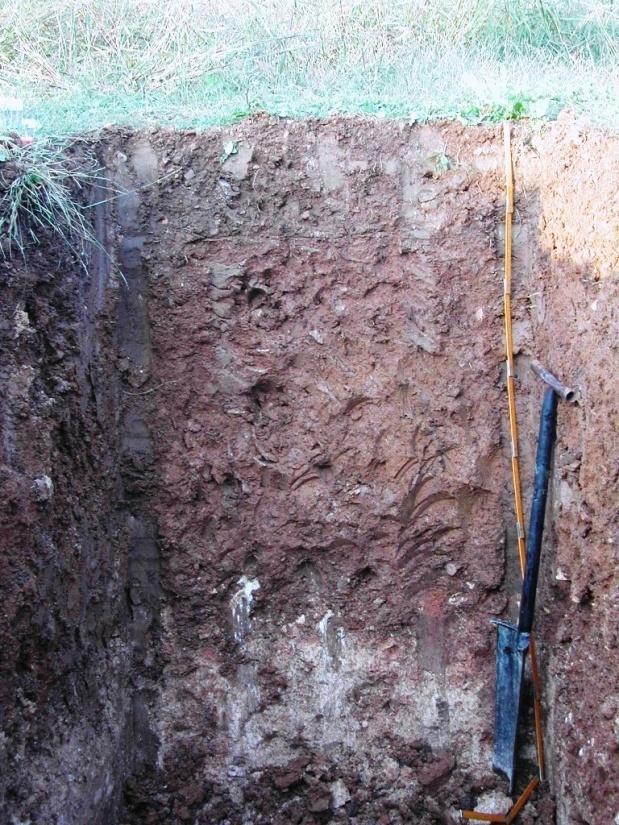 6. Soil compaction Soil compaction is the rearrangement of soil aggregates and/or particles in a denser way.