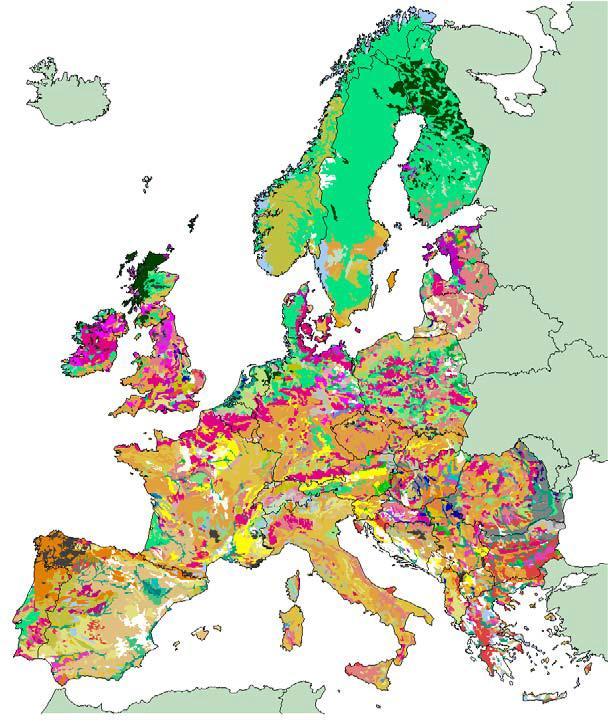 Identified important threats to European soils 1. Soil erosion 2. Loss in organic matter 3. Chemical contamination 4.
