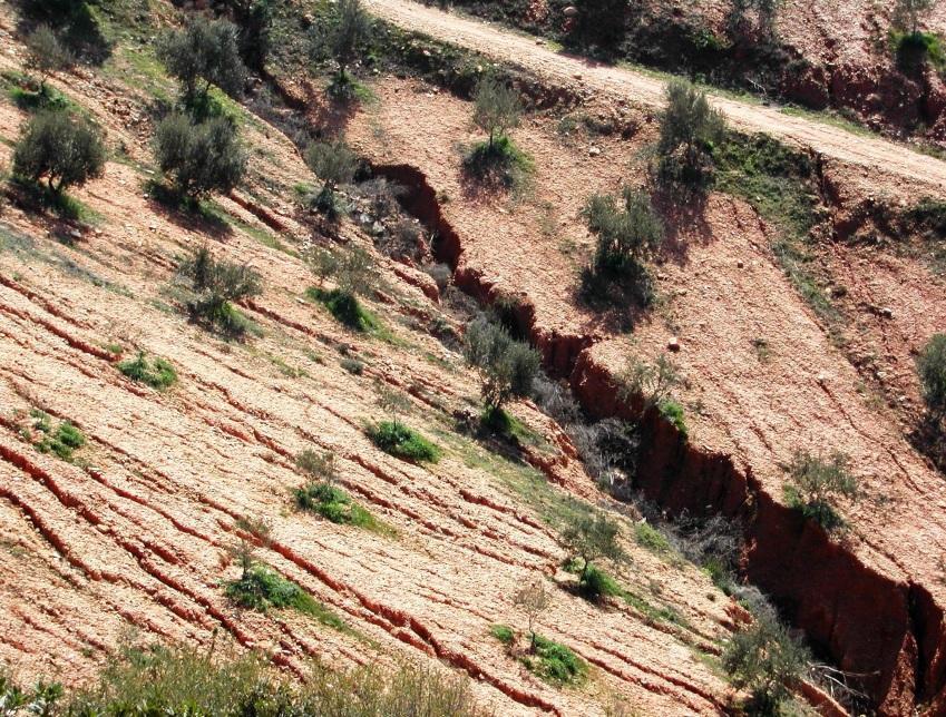 1. Soil erosion About 75% of international