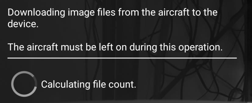 If you choose to have files transferred then you will see the following status displays as the files are