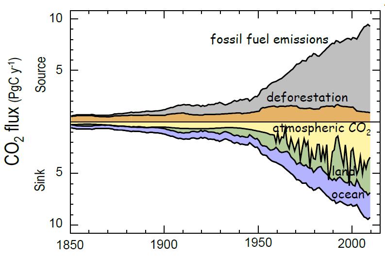 50 % of human CO2 ends in the atmosphere CO2-flow in Gt/year 1. Emissions from energy production (grey) 2. Emissions from land clearing (brown) 3.