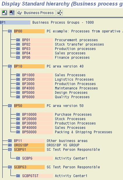 SAP R/3 / Business Process The Business