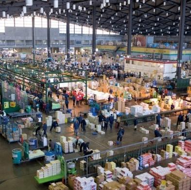 wholesale Set up auction Distribution system to serve