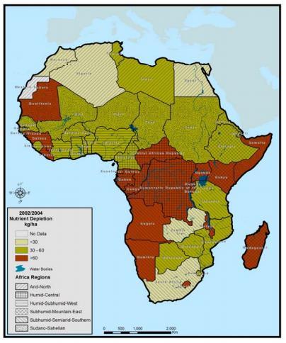 Nutrient mining in agricultural soils of Africa 2002-04 75 % of farmland in SSA is severely degraded by soil nutrient mining. Africa loses ~ USD $ 4 billion worth of soil nutrients every year.