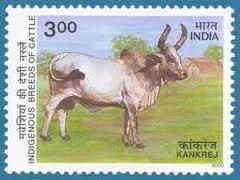 Distance from main Bus Stop: 10 Km 1969 State of Gujarat and Maharashtra in Co ordination with State Animal