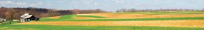 A Bonnefield Research Paper Factors that Drive Canadian Farmland Values Tom Eisenhauer and