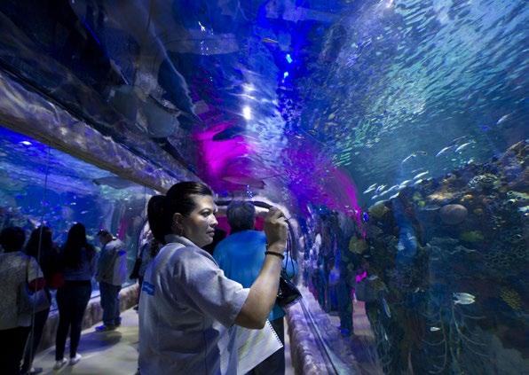 CASE: ACUARIO INBURSA, MEXICO CITY, MEXICO Underground waterworld Mexico City s first aquarium, Acuario Inbursa, fascinates and inspires visitors over four floors, three of which are underground.