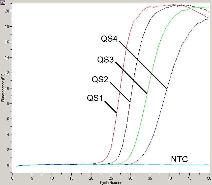 Fig. 7: Detection of the Quantitation Standards (Enterovirus LC QS 1-4) in fluorimeter channel F1.