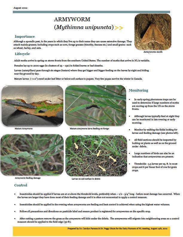 Appendix A Figure 1: Armyworm factsheet prepared by Dr. Carolyn Parsons and Dr.