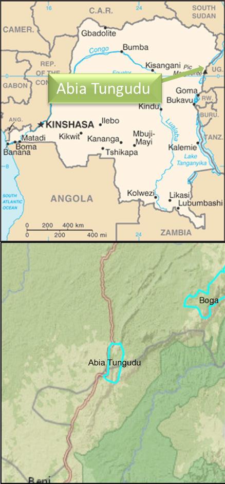 Potential for Irrigation Development Abia-Tungudu Area DR Congo The Nile Basin Initiative (NBI), under the Nile Equatorial Lakes Subsidiary Action Program (NELSAP) and the project Regional